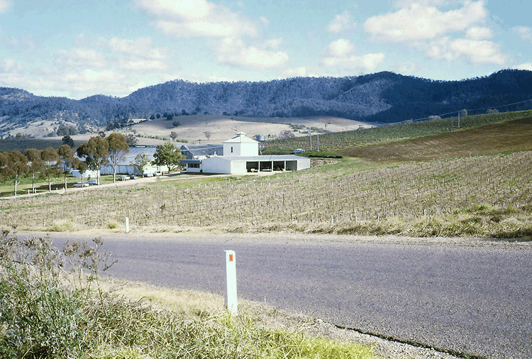 1976 - Vineyards